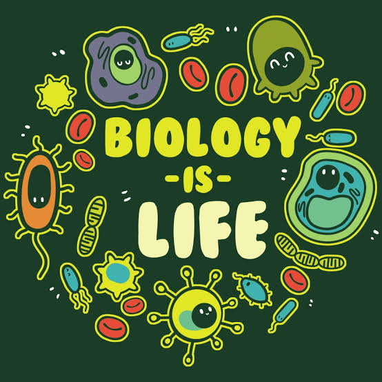 BIOLOGY HS3 FIRST TERM