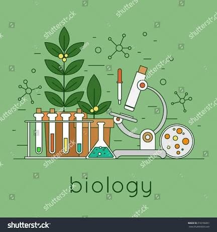 BIOLOGY HS2 FIRST TERM